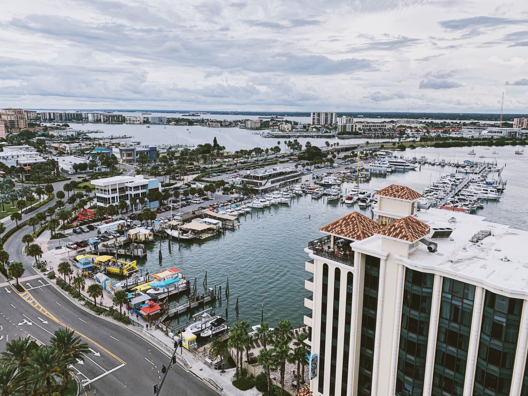 Aerial view of Clearwater harbor and marina with palm-lined streets along the waterfront